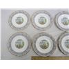 Image 2 : 8 Royal Albert Silver Birch Dessert Plates 7 ¼ inches