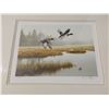 Image 2 : Ducks Unlimited print and stamp, 236/800 Artic Spring, Eider Downs by P Leduc, signed 2002