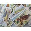 Image 2 : LOT OF 66 OGDEN'S CIGARETTE CARDS - BRITISH BIRDS (Bird Cutout) - May be some duplication