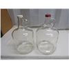 Image 1 : 2x gallon jugs