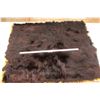 Image 1 : Bear Skin Rug/Blanket (61" x 48")