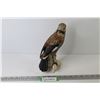 Image 1 : Goebel CV94 Black Throated Jay (good condition)