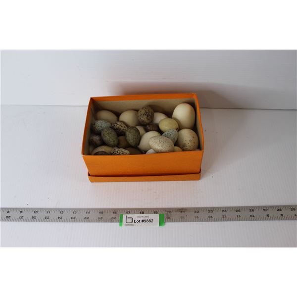 Box of Bird Eggs