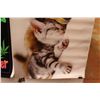 Image 5 : Black Light Weed Poster, Kitty and Puppy Poster - Largest Measures 2' x 3'
