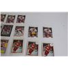 Image 4 : (28) Detroit Red Wings Hockey Cards