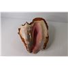 Image 4 : Large Conch Shell (has chip)