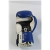 Image 2 : Pair of Ringside Boxing Gloves