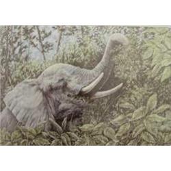 UNFRAMED LIMITED EDITION PRINT BY GAIL ADAMS