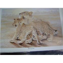 UNFRAMED LIMITED EDITION PRINT BY GAIL ADAMS