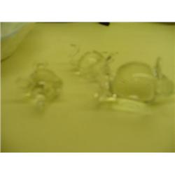 SMALL PRAIRIE LILY PLATES