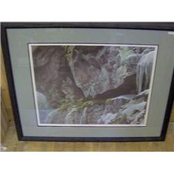 FRAMED LIMITED EDITION PRINT "AT THE CLIFF - BOBCAT"