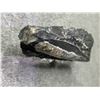 Image 2 : ORTHOCERAS FOSSIL SPECIMEN RETAIL $1200