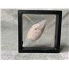 Image 2 : FLOWER AGATE WITH FORMATION RETAIL $800