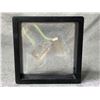 Image 2 : LEMURIAN QUARTZ RETAIL $289.88