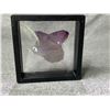 Image 2 : NATURAL PURPLE FLUORITE SPECIMEN RETAIL $1200