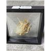 Image 2 : NATURAL AURA AQUAMARINE WITH MICA SPECIMEN RETAIL $1500