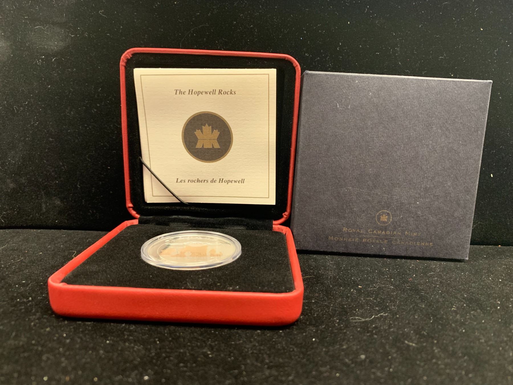 ROYAL CANADIAN MINT 2004 $20 FINE SILVER COIN -THE HOPEWELL ROCKS ...