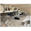Image 12 : 2018 KOMATSU PC210LC-11 Excavator