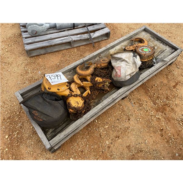 (2) HARRINGTON 10 TON CHAIN HOIST