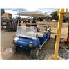 Image 1 : CLUB CAR VILLAGER Golf Cart