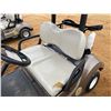 Image 6 : 2019 YAMAHA  Golf Cart