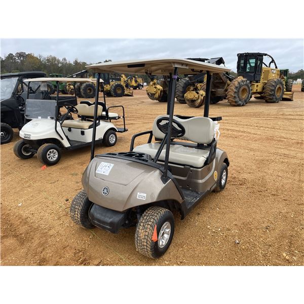 2019 YAMAHA  Golf Cart