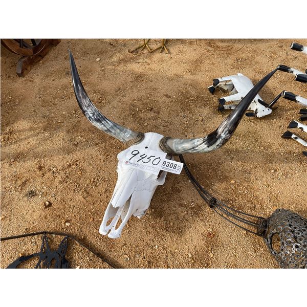 LONGHORN SKULL MOUNT