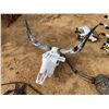 Image 1 : LONGHORN SKULL MOUNT