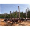 Image 8 : PITTS  Log Trailer
