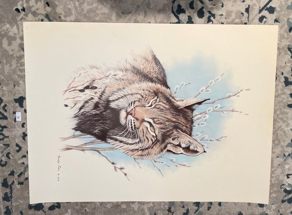 Artist R Fehr Randy Fehr 1982 Bobcat Print 23 x 18 - Beck Auctions Inc.