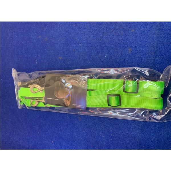 LED Horse Breastplate