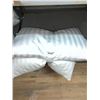 Image 1 : Weatherproof Down Queen Size Pillows