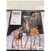 Image 1 : Canvass 2 & 3' LED Lit Deer with Baby