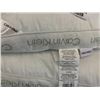 Image 1 : Lot of 2 Standard Queen Size Calvin Klein Pillows
