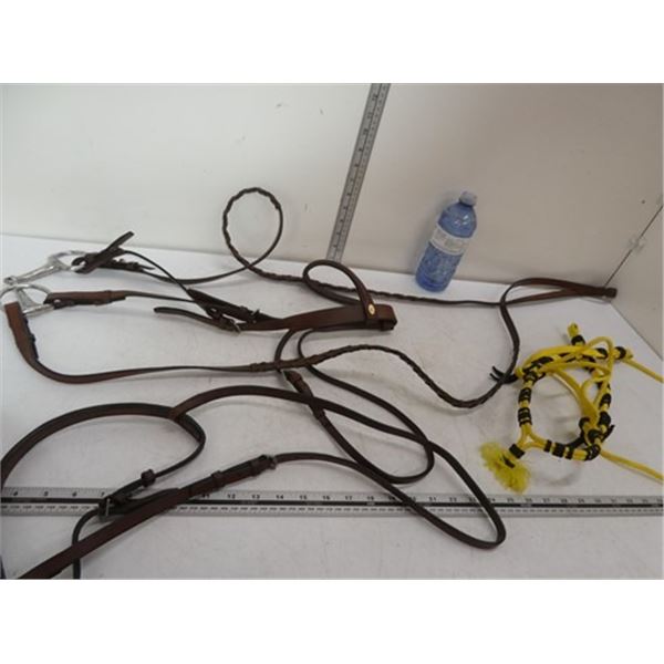 Leather bridle, paracord halter