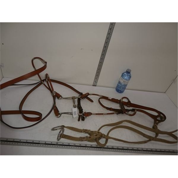 Leather bridle, fabric bridle