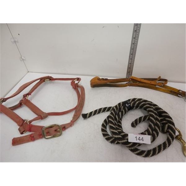 Horse halters, walking leash