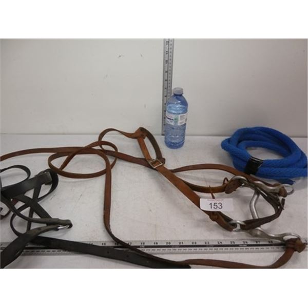 Horse bridle, lead line