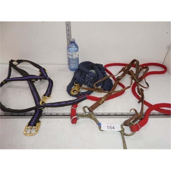 Horse bridle, halter, lead line