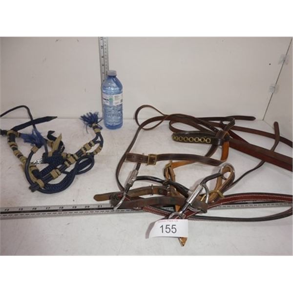 Horse bridle, halter