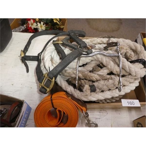 Bit, Bridle, lead lines