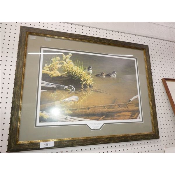 "Still Life - Barroe's Goldeneyes" by W. Allan