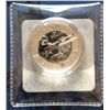 Image 2 : 2013 Pure Silver $20 Coin