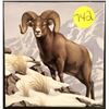 Image 1 : 2014 Canada $100 Pure Silver Coin Bighorn Sheep