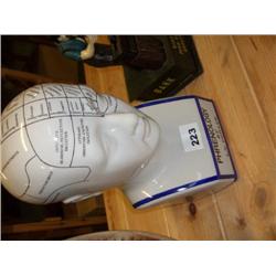 LARGE PHRENOLOGY HEAD