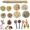 NEW RABBIT/GUINEA PIG 16 PCS CHEW TOY SET
