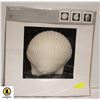 Image 1 : PAIR OF 50X50 CM SEASHELL PICS FROM IKEA