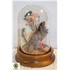 Image 1 : BUTTERFLY IN GLASS DOME ON WOOD BASE