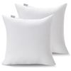 Image 1 : NEW ACANVA DECORATIVE THROW PILLOW INSERTS 22"X22"