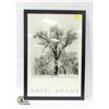 Image 1 : LIMITED EDITION FRAMED PRINT BY ANSEL ADAMS 1996